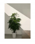 HYRWELL HYRO A1055F Type профильный светильник шинно-трековый