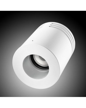 LOUPI CEILING SPOT 010 накладной светильник для подсветки витрин
