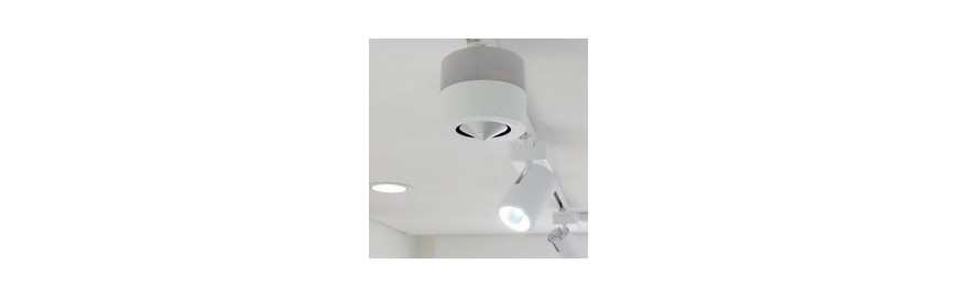 id_image